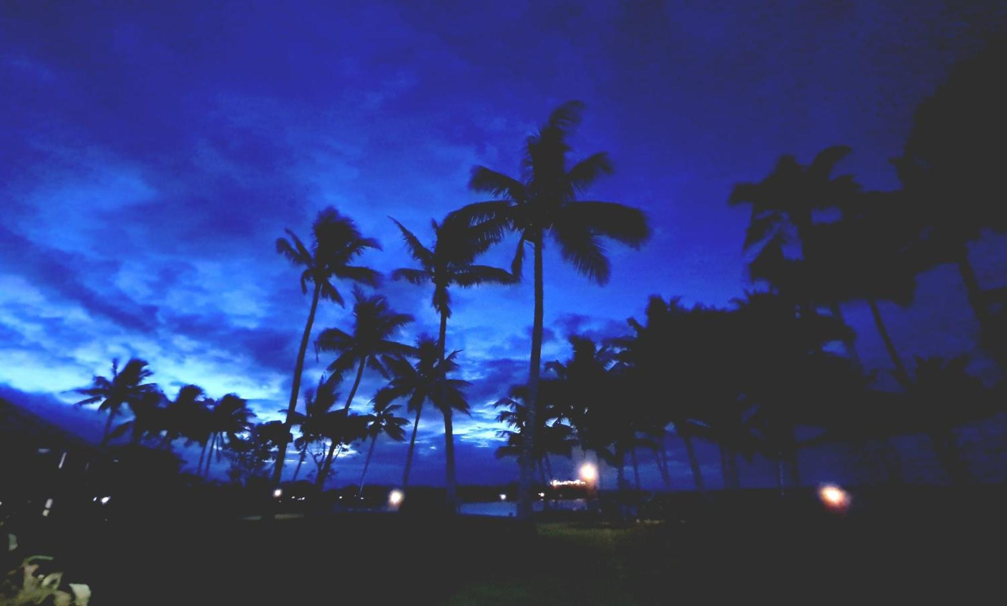 Dolphin Heads - Resort Unit - Absolute Beachfront! - Whitsunday Getaway! Маккай Екстер'єр фото
